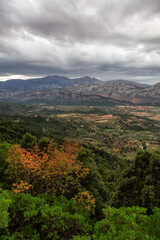 Farms and green fields with Mountain Landscape Background. Near Dorgali, Sardinia, Italy.