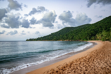 Caribbean landscape and beach
