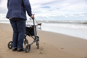Obraz premium Lonely woman with a walker on the beach near the sea with waves and a running dog