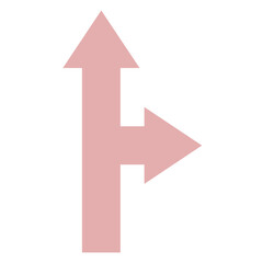 arrow icon