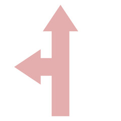 arrow icon