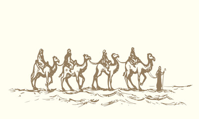 Camel caravan travels. Vector drawing