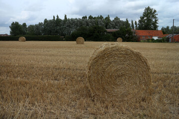 Walking Trail in the countryside - Parc Regional des caps et marais d'opales - Buysscheure - Nord -...