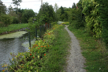 Walking Trail in the countryside - Parc Regional des caps et marais d'opales - Buysscheure - Nord - Hauts-de-France - France