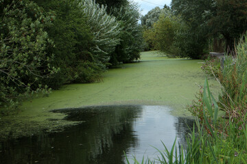 Walking Trail in the countryside - Parc Regional des caps et marais d'opales - Buysscheure - Nord -...