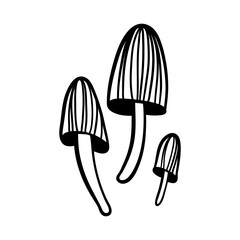 Woodland mushroom. Amanita mushroom. Fungus black and white illustration.