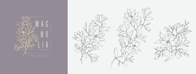 Magnolia flower logo and branch set. Hand drawn line wedding herb, elegant leaves for invitation save the date card. Botanical rustic © merfin