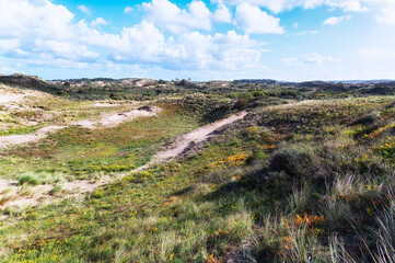 Zandvoort, Netherlands, Landscape with Plants