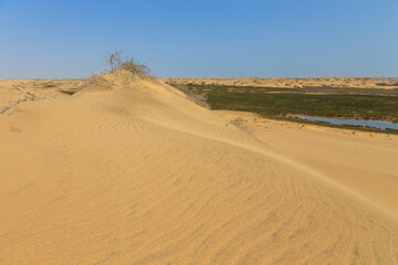 Fototapeta na wymiar Desert off the coast of the Atlantic Ocean, Walvis Bay. Swakopmund, Namibia.