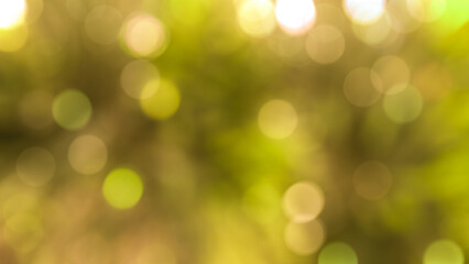 Obraz premium christmas decoration bokeh light with green pastel for background