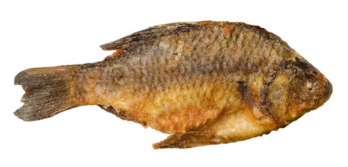 Hot fried fish on a transparent background. River fish Carp. isolated object
