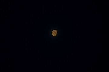 Moon 
