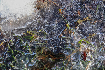 Ice on a frozen puddle close-up