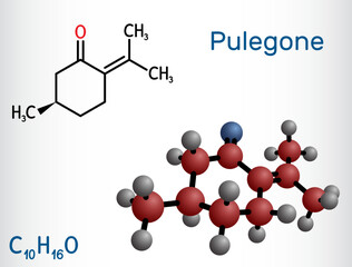 Pulegone molecule. It is natural component of essential oils. Structural chemical formula and molecule model.