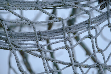 A soccer net for tiny ice crystals hung in a frozen tree