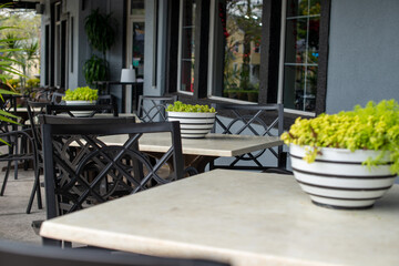 Tables and chairs on a patio terrace of a restaurant off a sidewalk. Each table has a flower pot with a greenery. The cafe wall is grey with black trim. The garden furniture is black and white metal. 