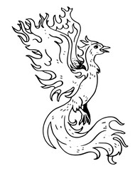 Phoenix vector illustration