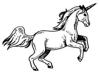 Unicorn vector illustration