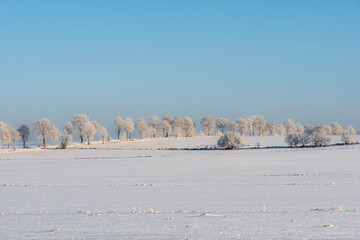 Winter landscape with snow covered trees, blue sky