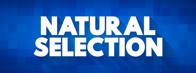 Natural Selection is the differential survival and reproduction of individuals due to differences in phenotype, text concept background