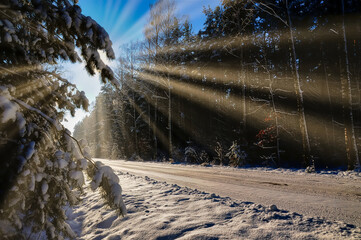 Winter road through the forest on a sunny day