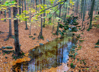 Autumn nature on the Jizera mountains in Bohemia - 554515020