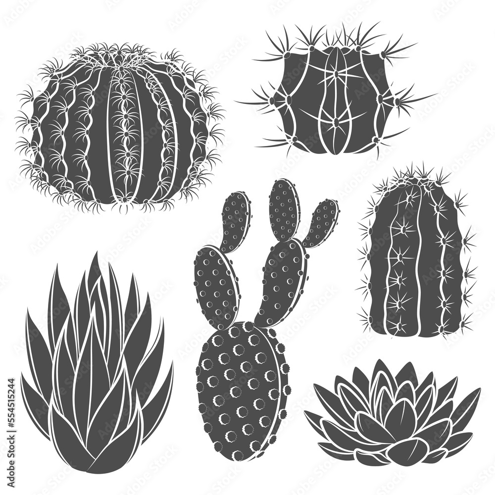 Aufkleber set of black and white illustrations with cactus and succulent. isolated vector objects on a white b