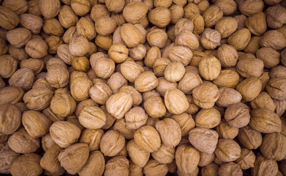Walnuts filling the image, background of nuts