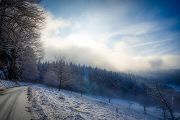 winter landscape with snow