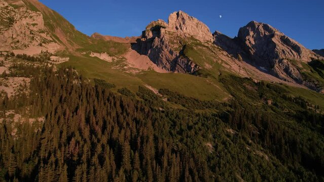 Combes de Paccaly et de Tardevant