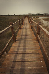 Fototapeta premium Croatian bird reservation and stopover during autumn migration