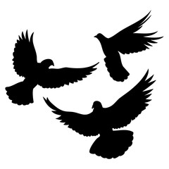 A set of black silhouettes of flying, taking off doves, a symbol of peace and the holiday of the world day of peace, an element for the design of fabric, testille, wallpapers, cards and patterns