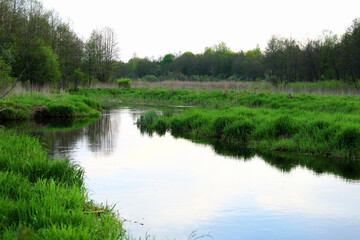 Fototapeta na wymiar Small overgrown river