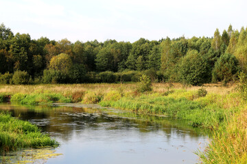 Fototapeta na wymiar Landscape with river and deer in the distance
