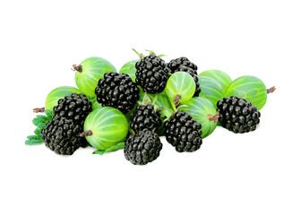 Gooseberry and blackberry isolated on white background