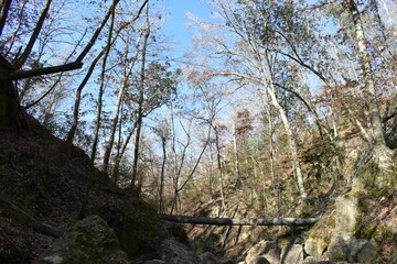 Southern USA Nature and Landscapes