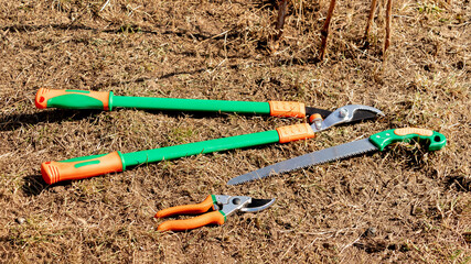 Tools for pruning trees and bushes, a saw, large and small scissors, in the garden on the ground