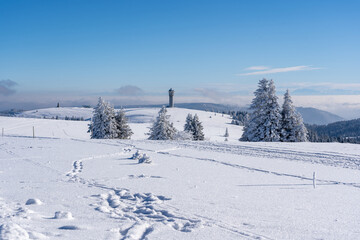Obraz premium Feldberg