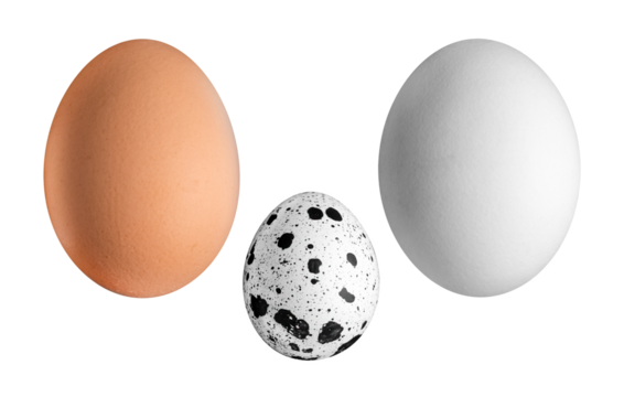Set of chicken and quail eggs on a transparent background. isolated object
