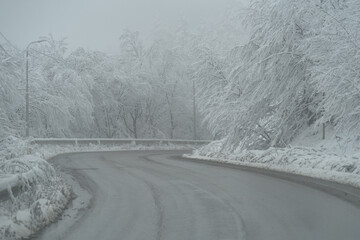 Fototapeta premium Snowy driveway and fog. Mountain road in Georgia, trees covered by snow. Winter forest after snowfall. Bad weather, overcast concept