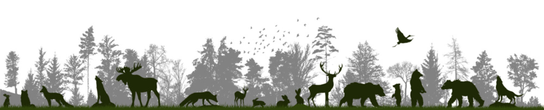 Forest landscape with silhouettes of animals. Vector illustration