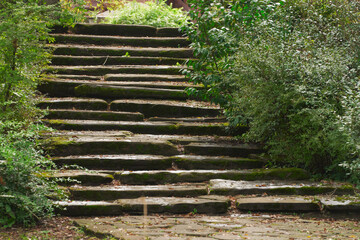 Fototapeta na wymiar Steep stone staircase with uneven steps on the slope in the landscape design of the park. Fallen leaves are lying on the steps.