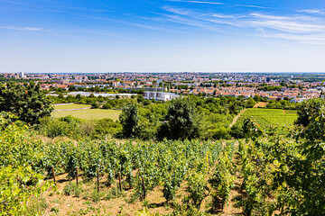 Bourgogne Montrecul