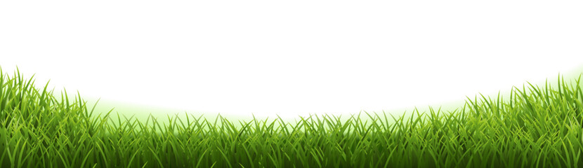 Obraz premium green grass vector