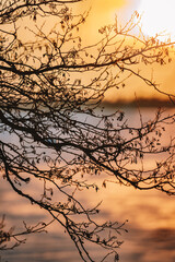 sunset in the mountains