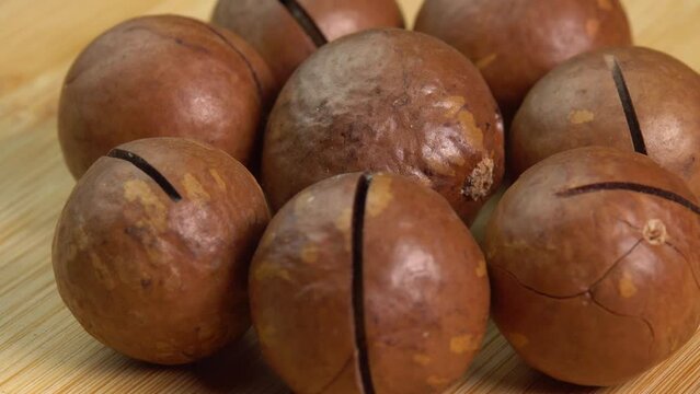 Whole Australian shelled macadamia nuts rotate on wooden background close up. Healthy skin and hair and natural healing oil treatment