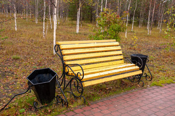 City yellow wooden bench on the street in the autumn park