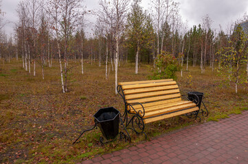 City yellow wooden bench on the street in the autumn park
