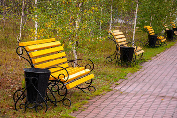 City yellow wooden bench on the street in the autumn park