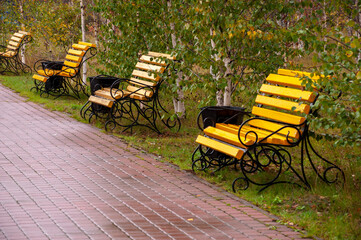 City yellow wooden bench on the street in the autumn park